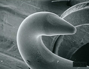Hook before use x75