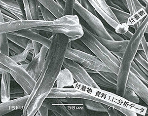 Magnified x500